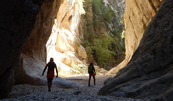 Multiactivitat JOVES PLUS