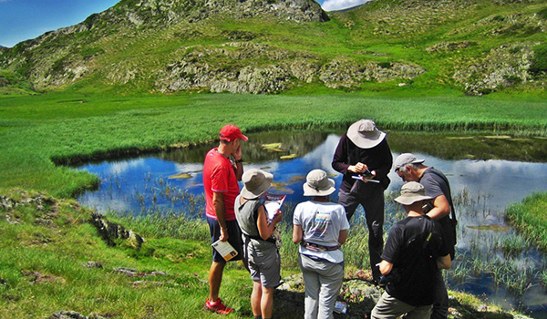 Curs: La fisonomia vegetal de Catalunya